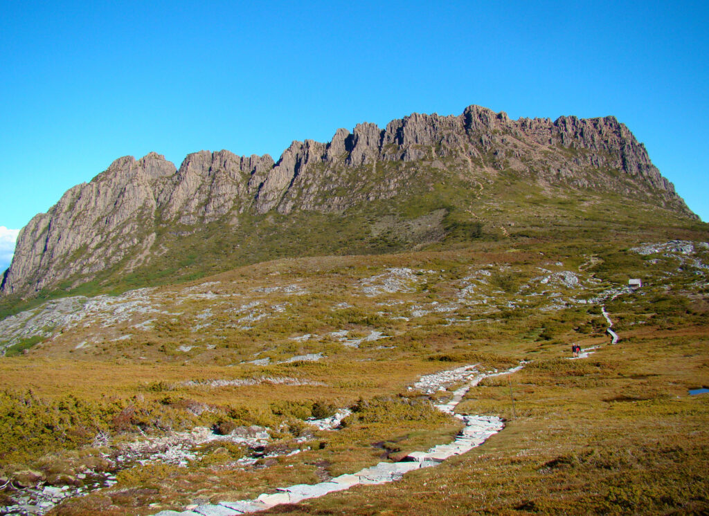 Hiker walking along the Overland Track in Tasmania surrounded by lush rainforest and open alpine plains.